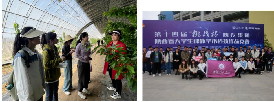 江南官方端网站登录入口优惠活动“环保